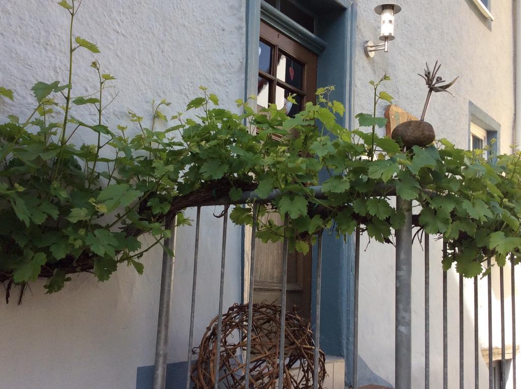 Ferienwohnung Winzerhäuschen, Weingut Th. Müller Reil Exterior foto